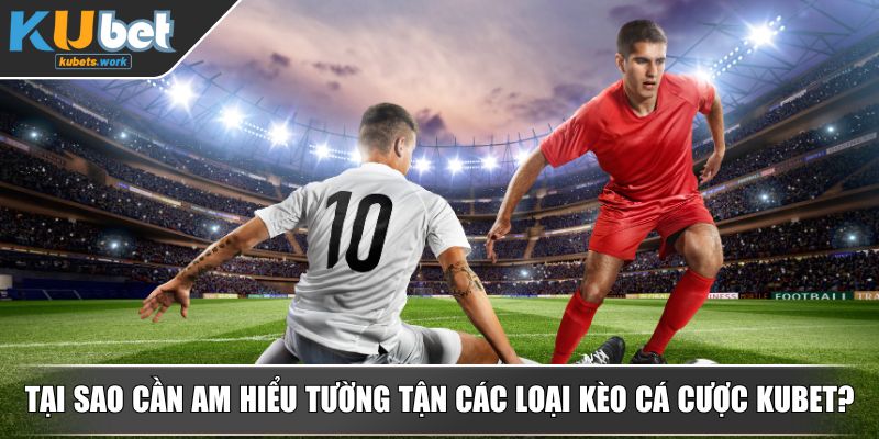 Tại sao cần am hiểu tường tận các loại kèo cá cược KUBET?