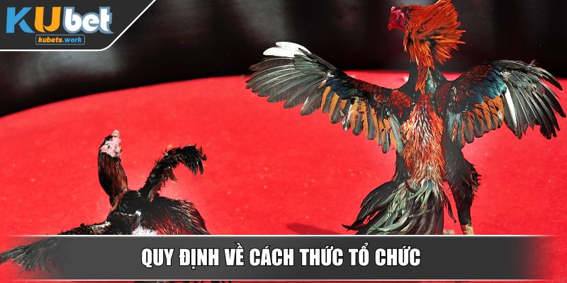 Quy định về cách thức tổ chức